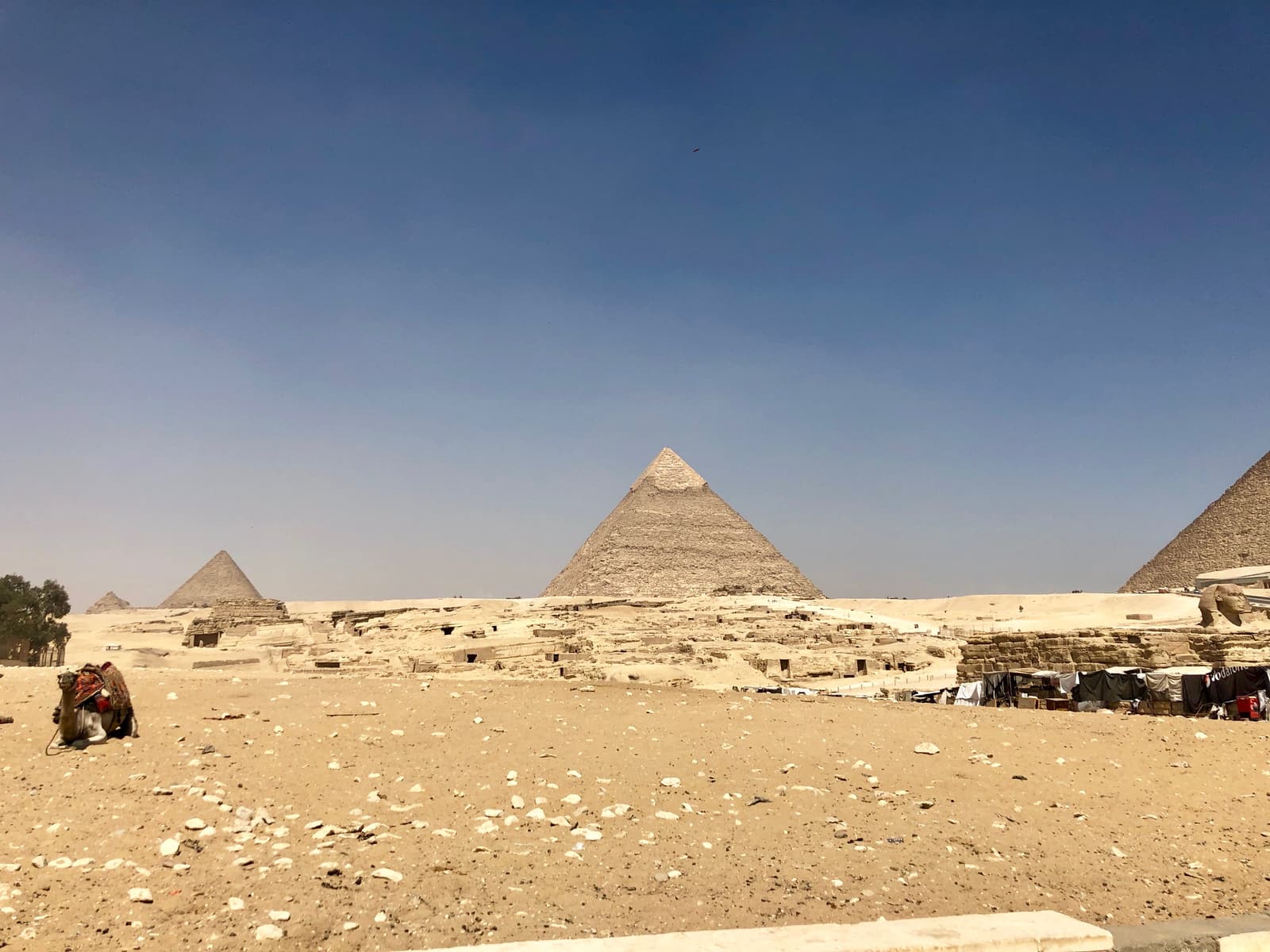 The pyramids of Giza rising above the desert plateau