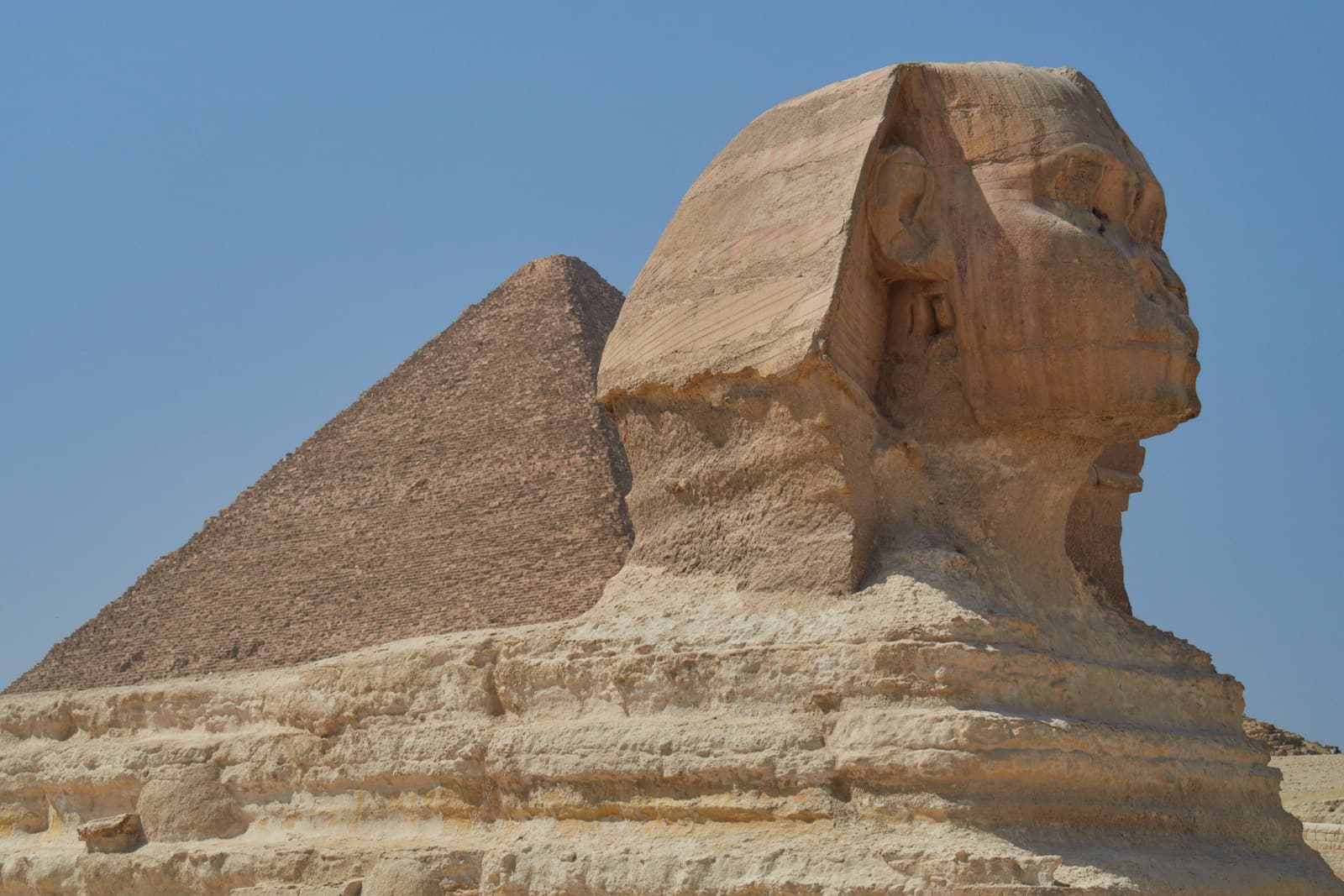 The head of the Great Sphinx in profile with a pyramid behind